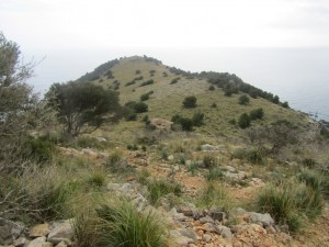 IMG_5119 (Medium)